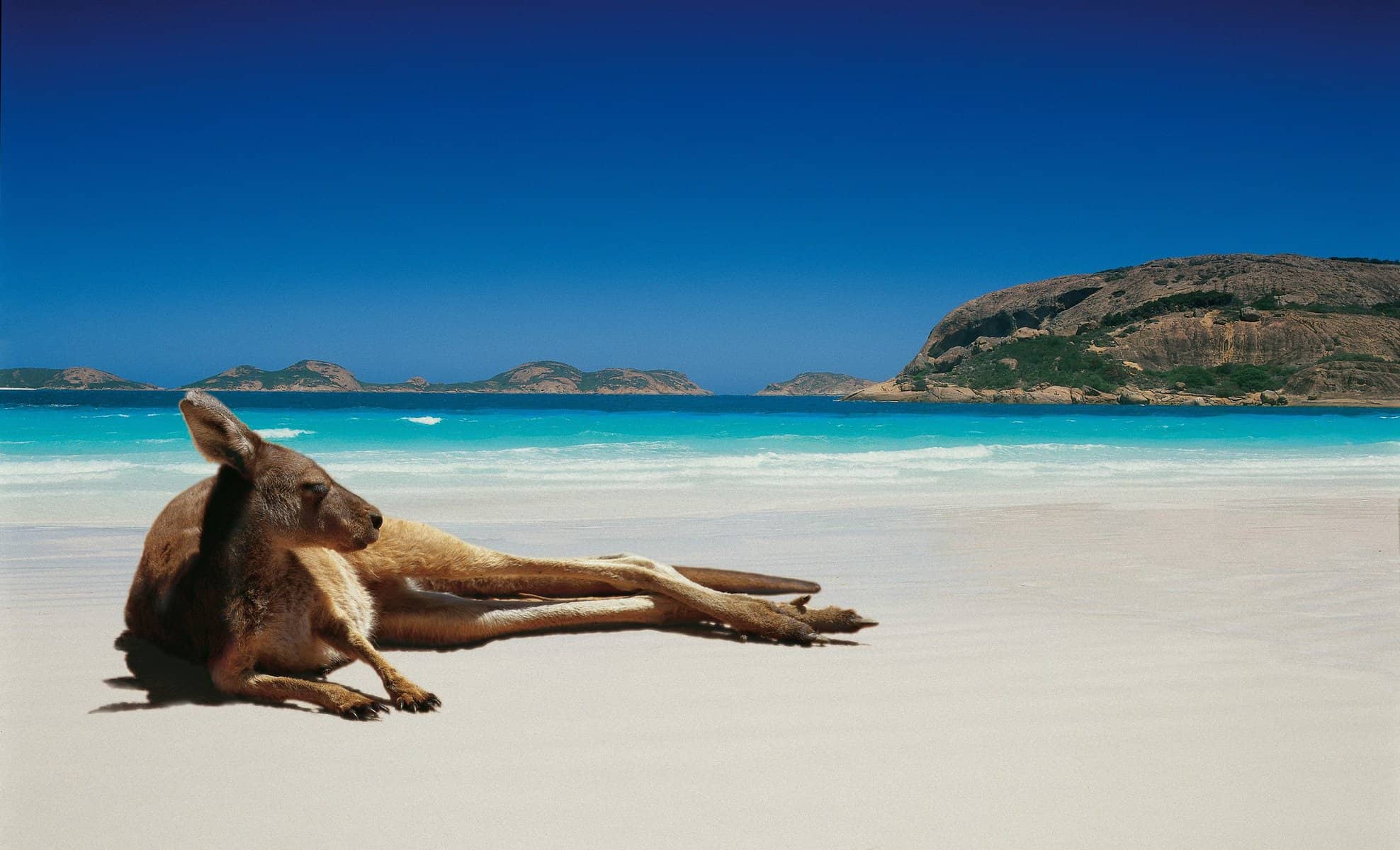 Australia is the most desired destination for Chinese tourists for 2023