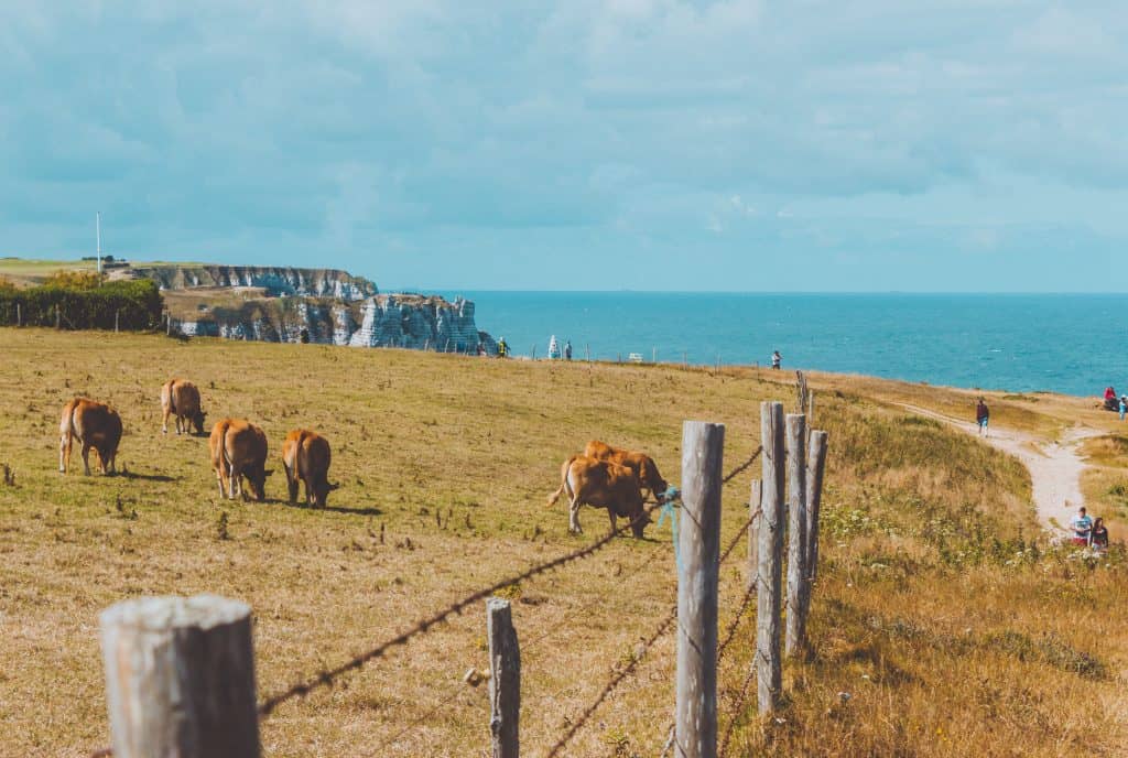 Chinese tourists Normandy