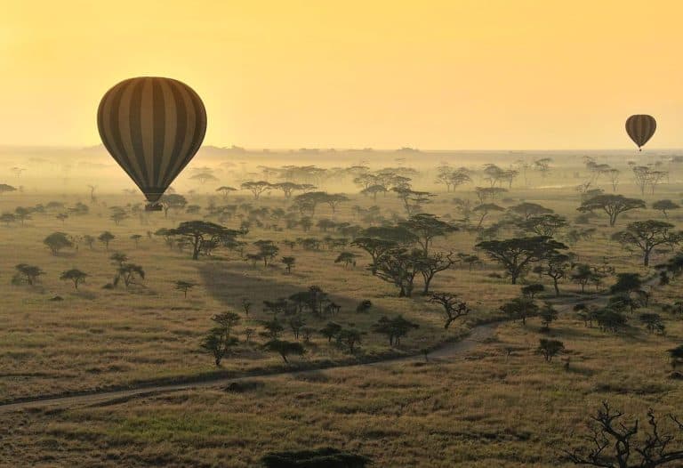 How to attract Chinese tourists to Tanzania in 2023?