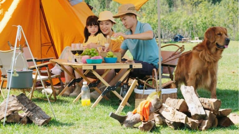 Leisure Is a Huge e-Market in China
