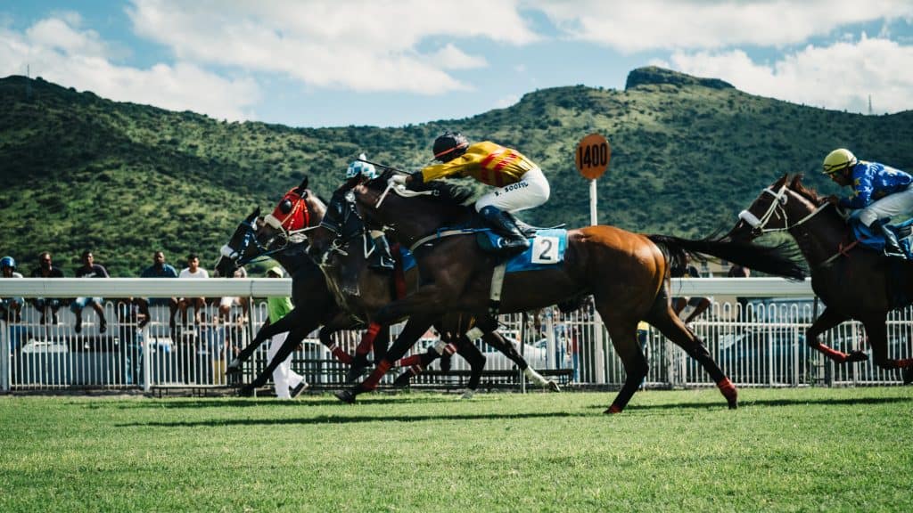 World Equestrian Games Normandy